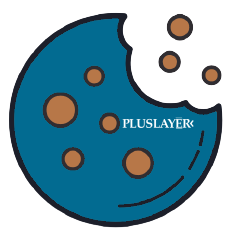 PlusLayer Cookie Notice